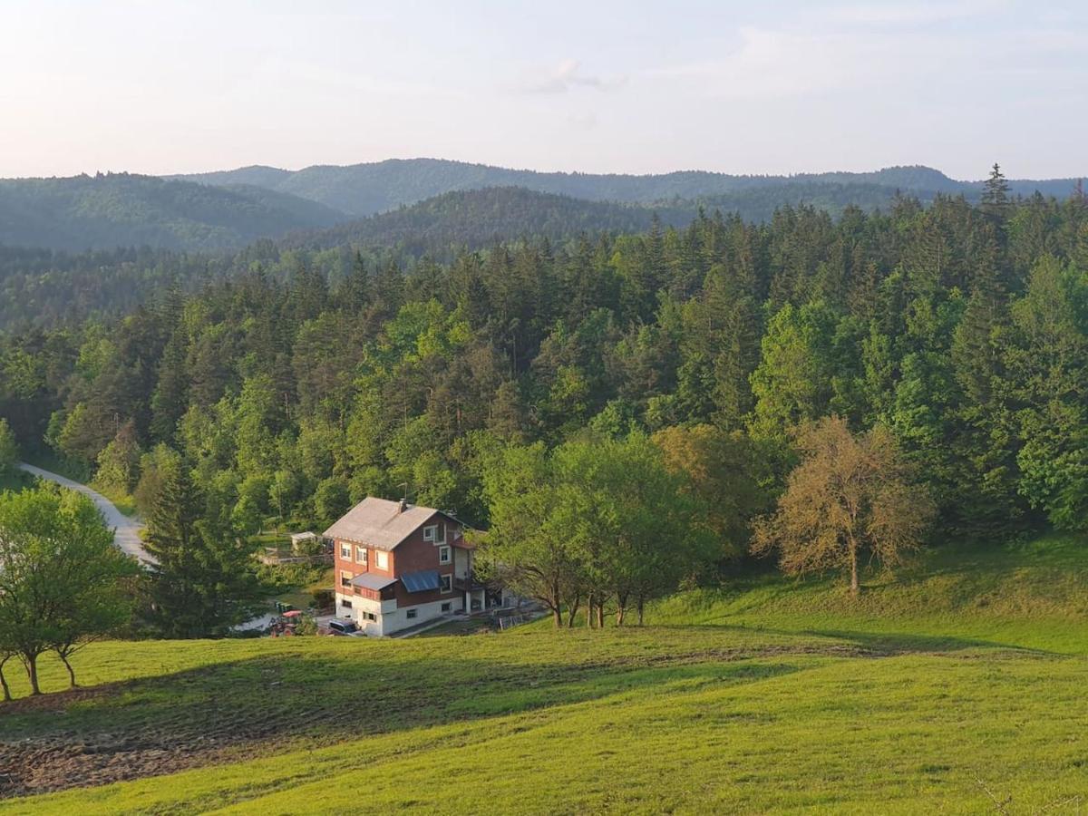 Apartma Narava Begunje pri Cerknici Exteriér fotografie